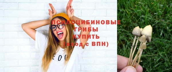 дурь Алзамай